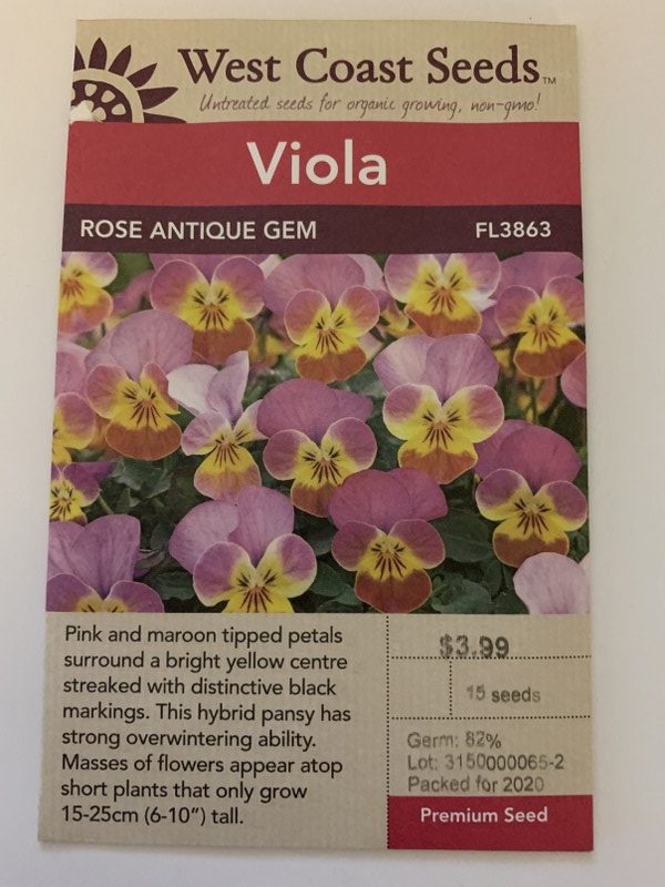 Viola Rose Antique Gem_800x600 Dunvegan Gardens